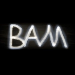 BAM dark.jpg